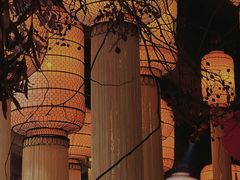 -叶叶菩提·晋福宫