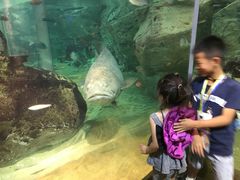 -西海国立公园九十九岛水族馆