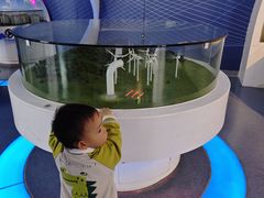-中国杭州低碳科技馆