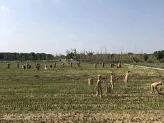 -嘉北郊野公园
