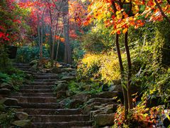 -九如山休闲旅游度假区