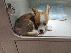 -乐宠宠物店(世纪金源店)