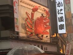 -蟹道乐(道顿堀本店)