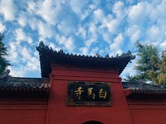 -洛阳白马寺