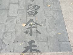 -迎泽公园