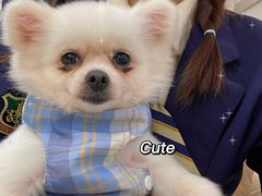 -怪兽屋·羊驼·猫咖·狗咖(俊华广场店)