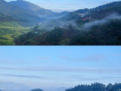 -篁岭景区