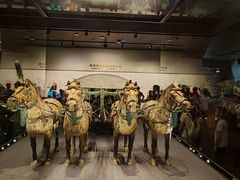 -秦始皇帝陵博物院-丽山园