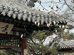 -迎泽公园