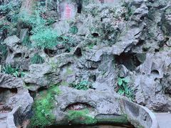 -龙井壹号·茶缘山景宴(龙井村店)