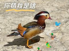 -栾川竹海野生动物园