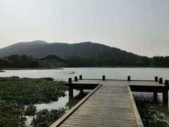 -长广溪湿地公园
