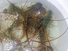 -拉威海鲜市场