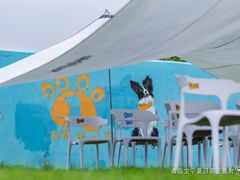 -趣玩宠物乐园寄养训犬训狗游泳池