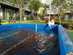 -萌宠亲子动物乐园(槐房万达店)