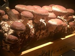 -大头椰·椰子鸡火锅(南宁万象城店)