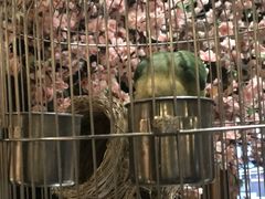 -鸥迪足道(湖南示范店)