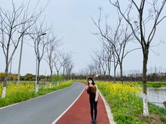 -上海长兴岛郊野公园