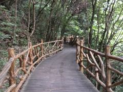 -燕子河大峡谷天坑仙境