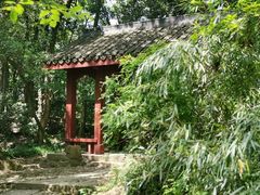 -西湖风景区十里琅珰-五云山