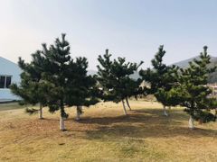 -嵊泗基湖沙滩