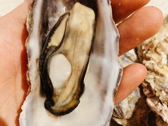 -钓鱼岛洗浴休闲会馆(卫星路店)