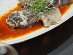 -曼格纳·曼芯馆(杨浦店)