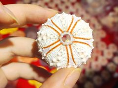 -摩登百货(岗顶店)