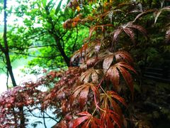 -白马涧龙池景区