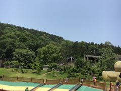 -洪崖丹井