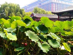 -大明幻境第一城