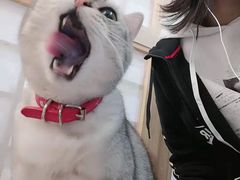 -小时光咖啡馆(开森度假森林店)