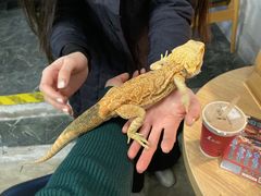 -百谜机械解谜工场
