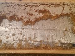 -上海东方佘山翰悦阁酒店·Vie全日制餐厅