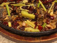 -老板恋上鱼(恒隆广场店)