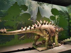 -四川宋瓷博物馆