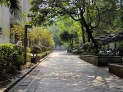 -云碧峰国家森林公园