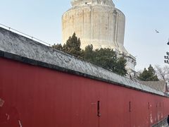 -蜗牛的家旅行主题云南菜餐厅.小酒馆(护国寺店)
