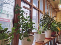 -Cafe Alice咖啡爱丽丝(奥城店)