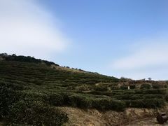 -嵛山岛