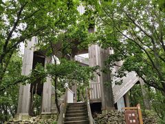 -帽儿山国家森林公园