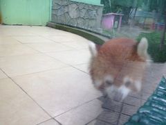 iphone_upload_pic-荆州中山公园动物园