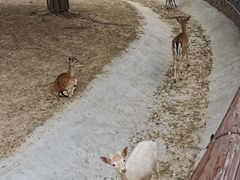 -太原动物园