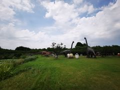 -上海海湾国家森林公园