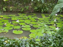 -中国科学院西双版纳热带植物园