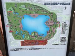 -莲花池公园