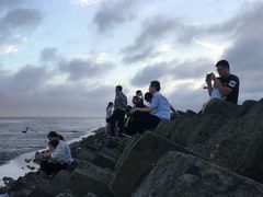 -南汇嘴观海公园