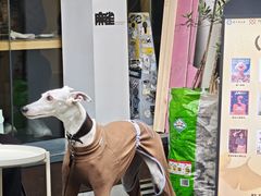 -麻雀咖啡SPARROW COFFEE(十全街店)