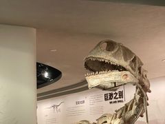 -自贡恐龙博物馆