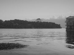 -才村湿地公园